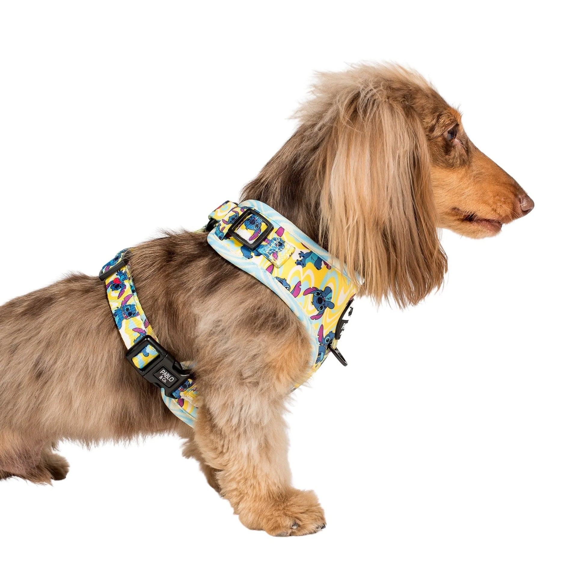 Psychedelic Stitch: Adjustable Harness