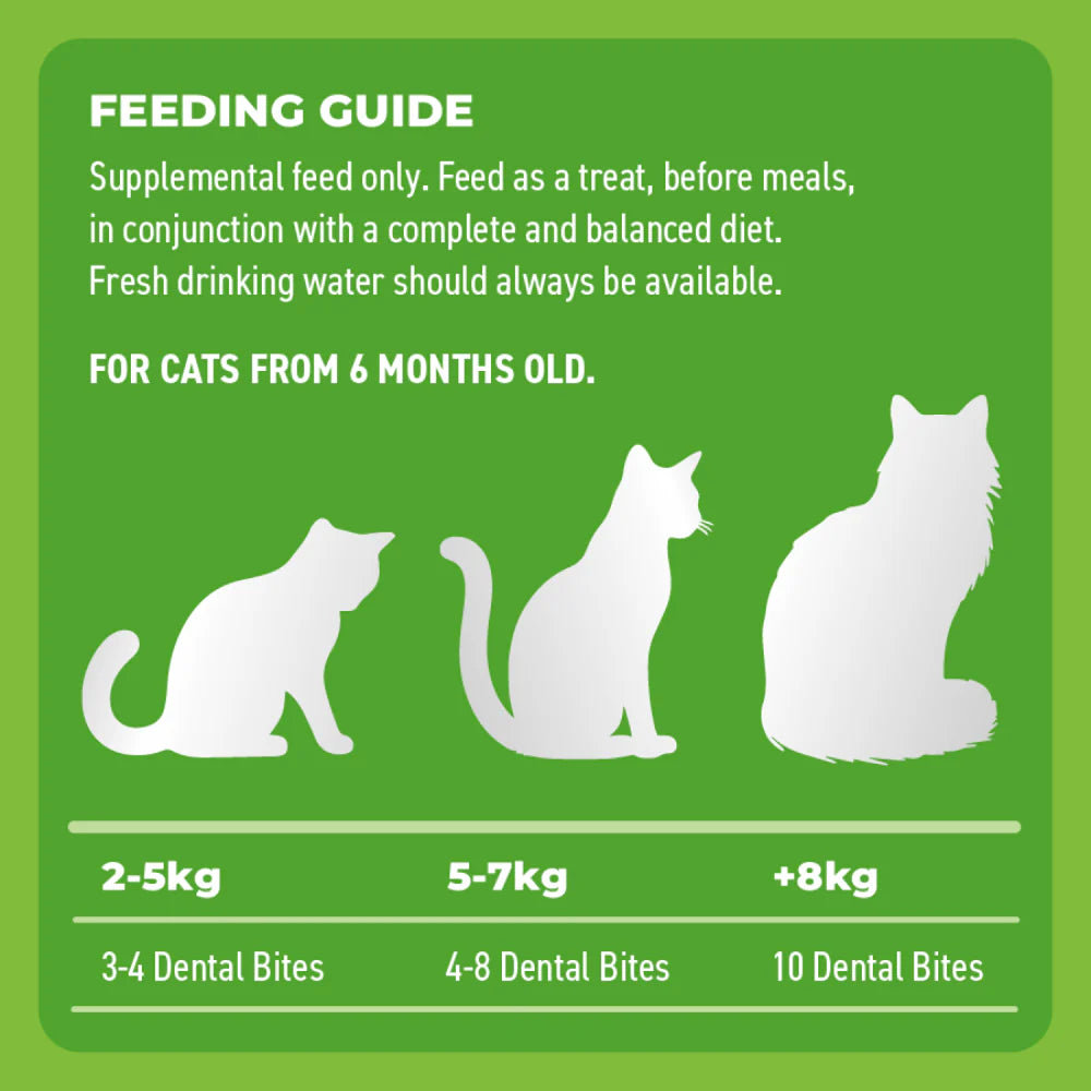 Bell & Bone Cat Dental Bites Chicken Blueberry 80G