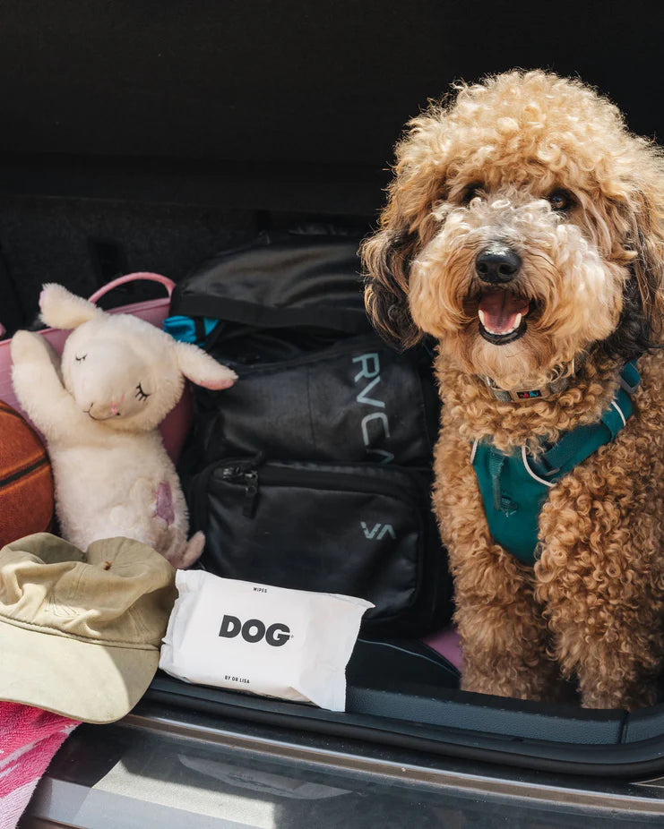 DOG Travel Wipes