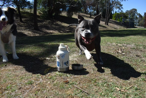 Chuggle Vanilla Woof 32oz