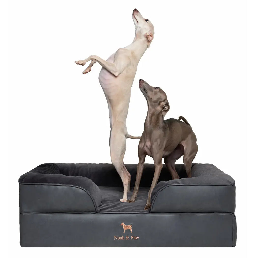 Orthopedic Dog Bed - Sofa Style (S-XXL)