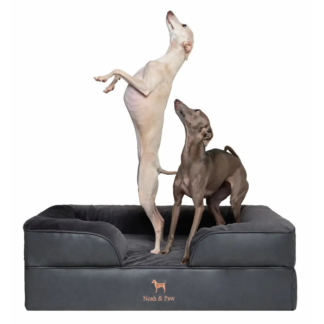 Orthopedic Dog Bed - Sofa Style (S-XXL)