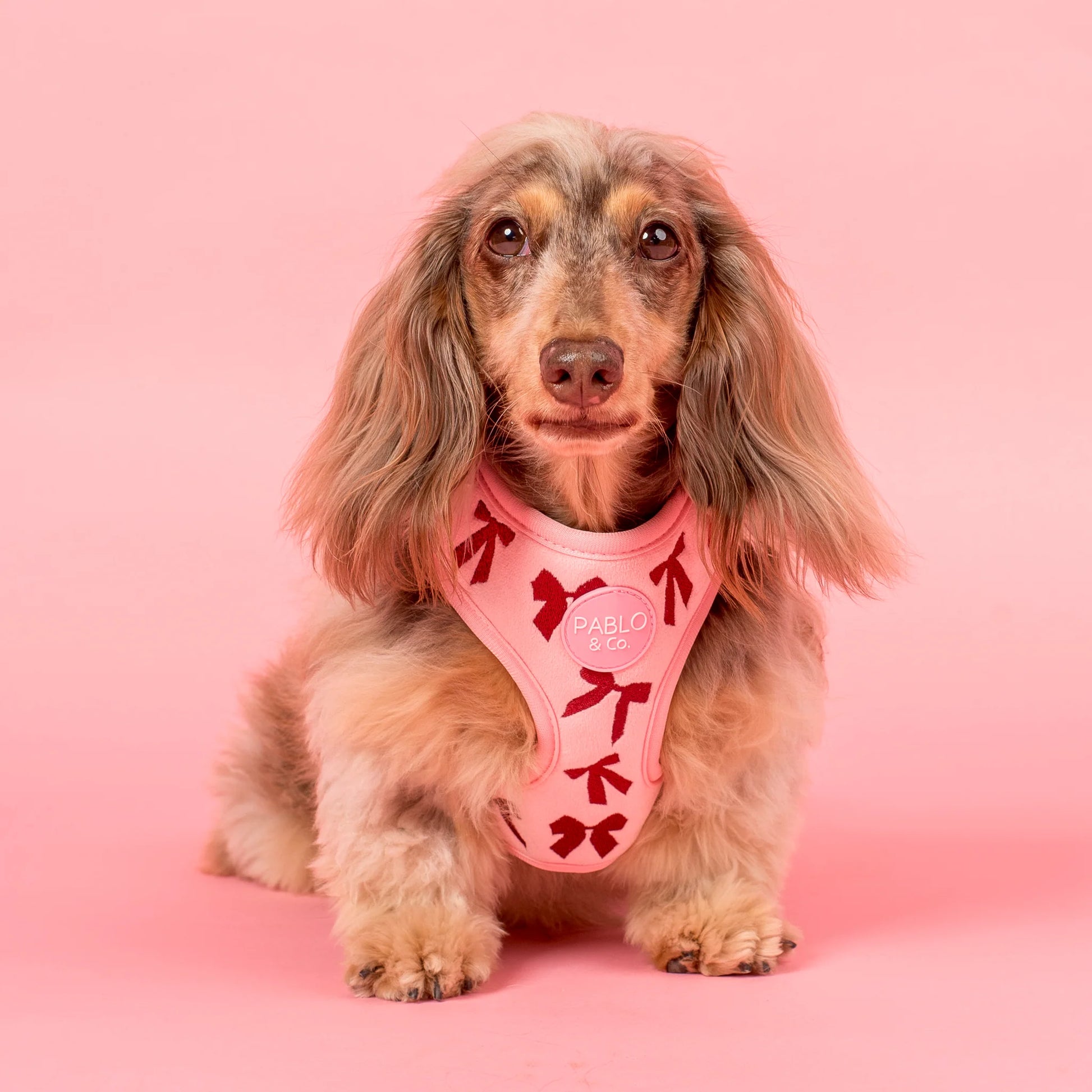 Velvet Blush Bows: Adjustable Harness