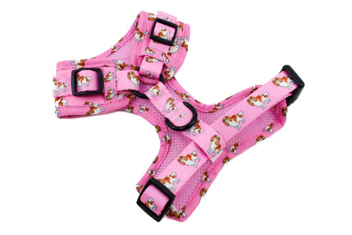 Cavalier King Charles: Adjustable Harness