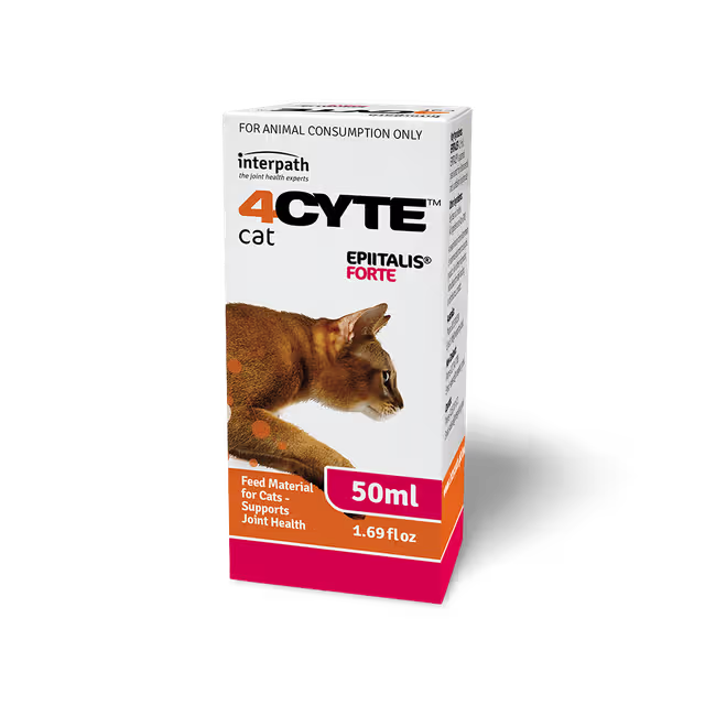 4CYTE Epitalis Forte Joint Support Liquid Gel for Cat 50mL + Dosing Syringe