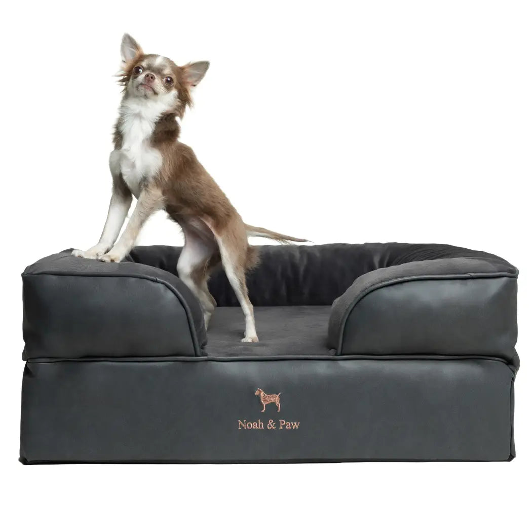 Orthopedic Dog Bed - Sofa Style (S-XXL)