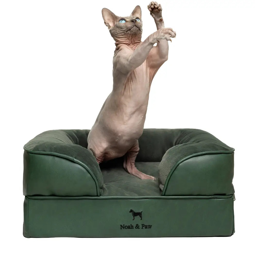 Orthopedic Dog Bed - Sofa Style (S-XXL)