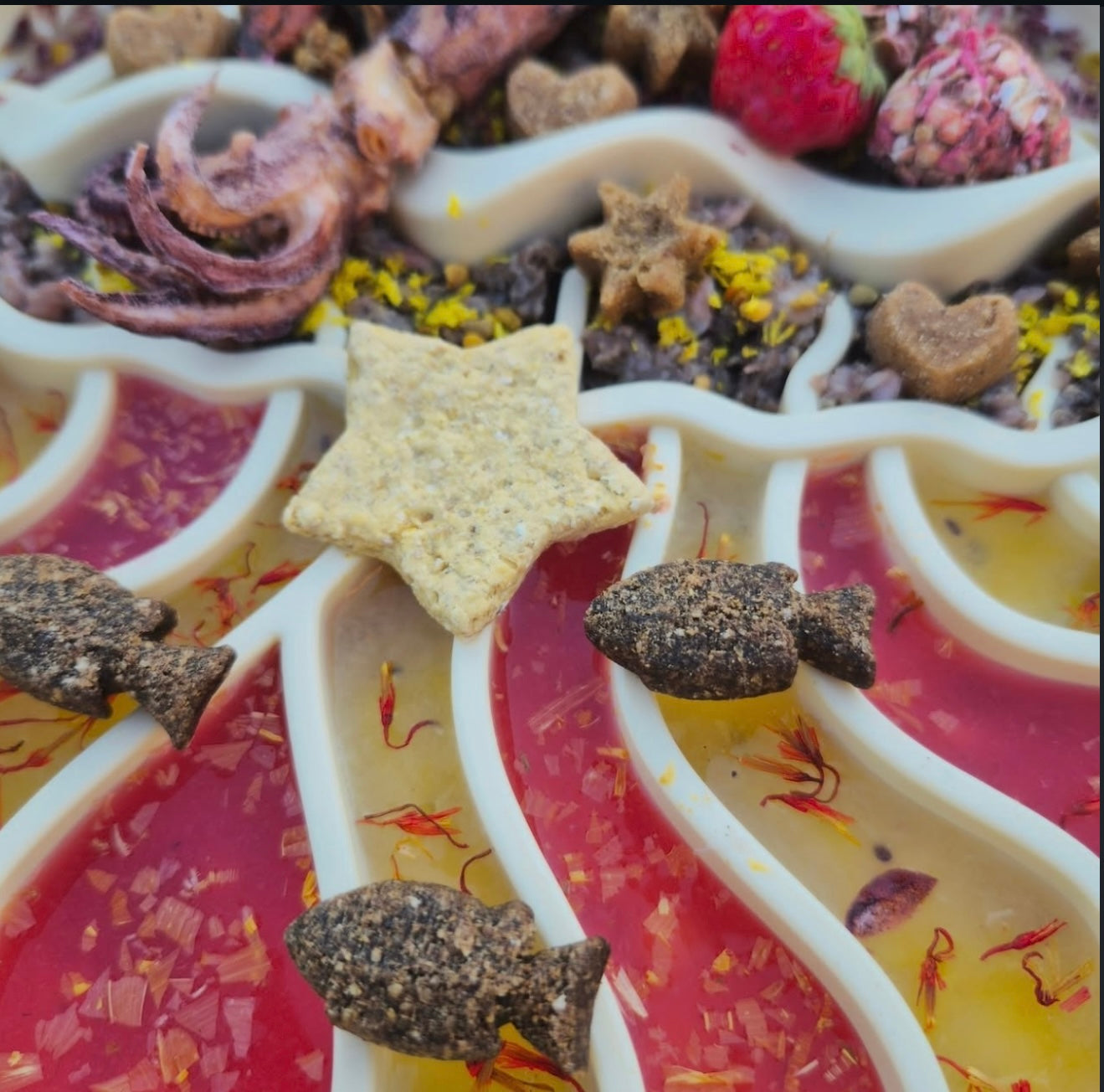 Jellyfish Enrichment Bowl