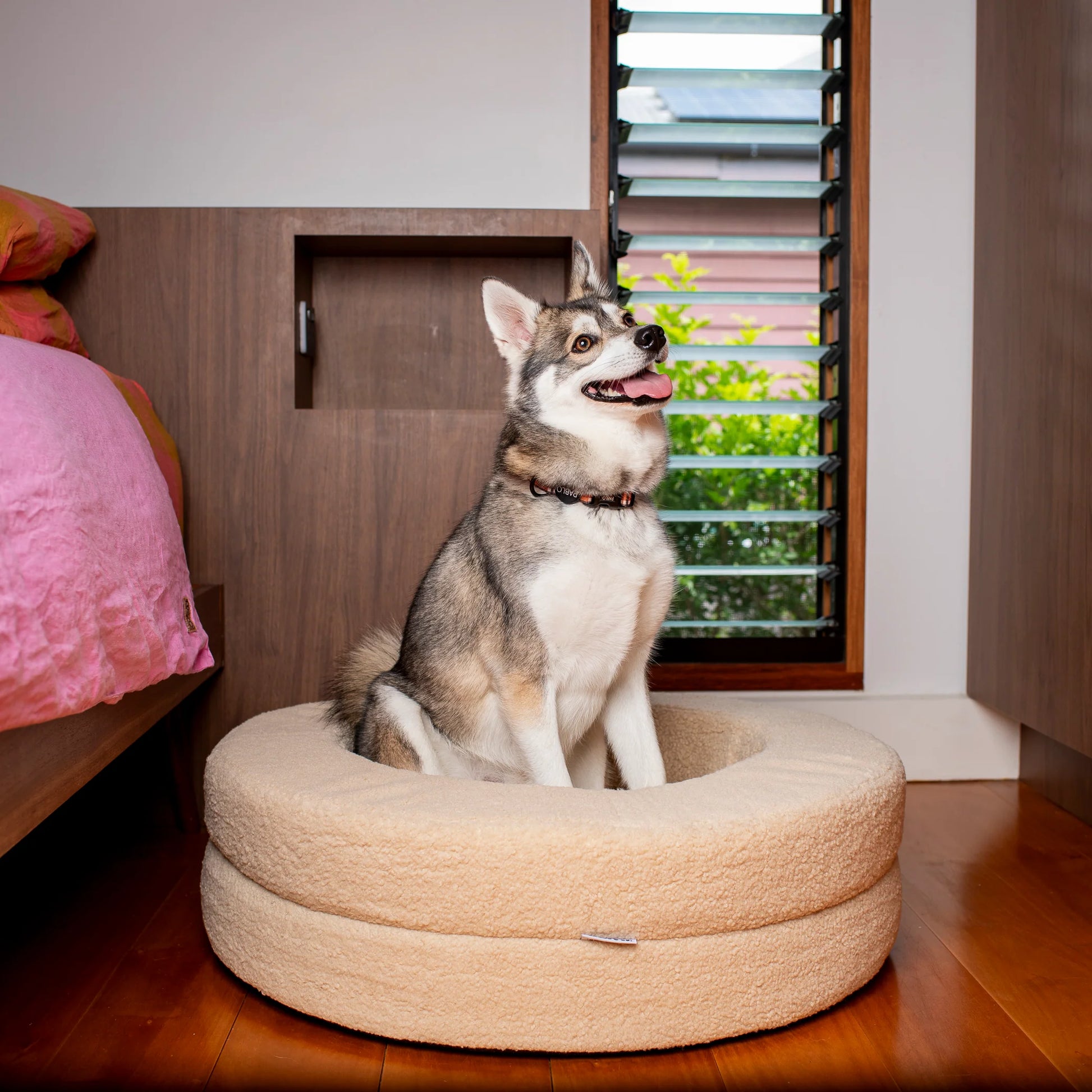 Orthopedic Memory Foam Teddy Donut Dog Bed