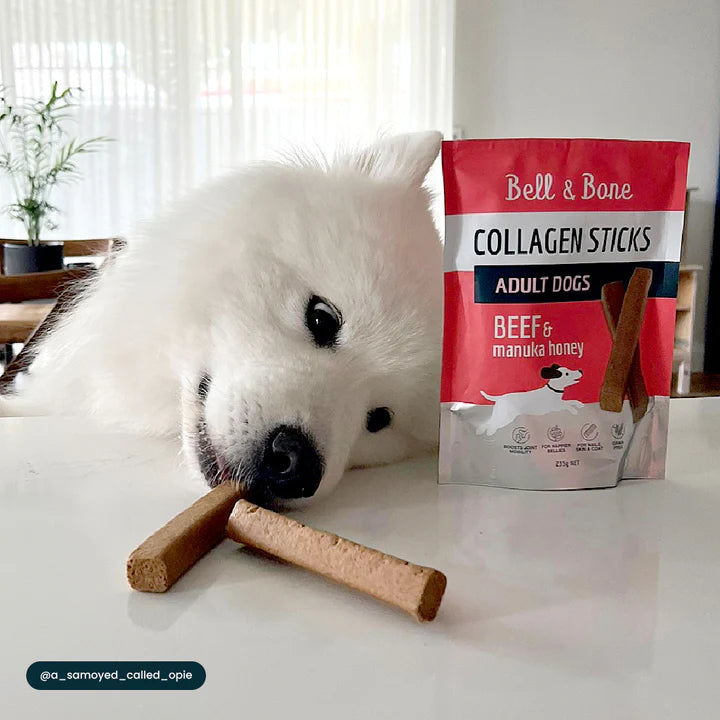 Dog Collagen Sticks - Beef and Manuka Honey