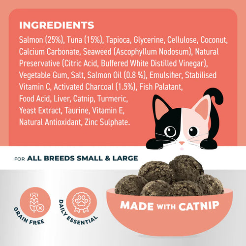 Adult Cat Dental Bites - Salmon with Charcoal