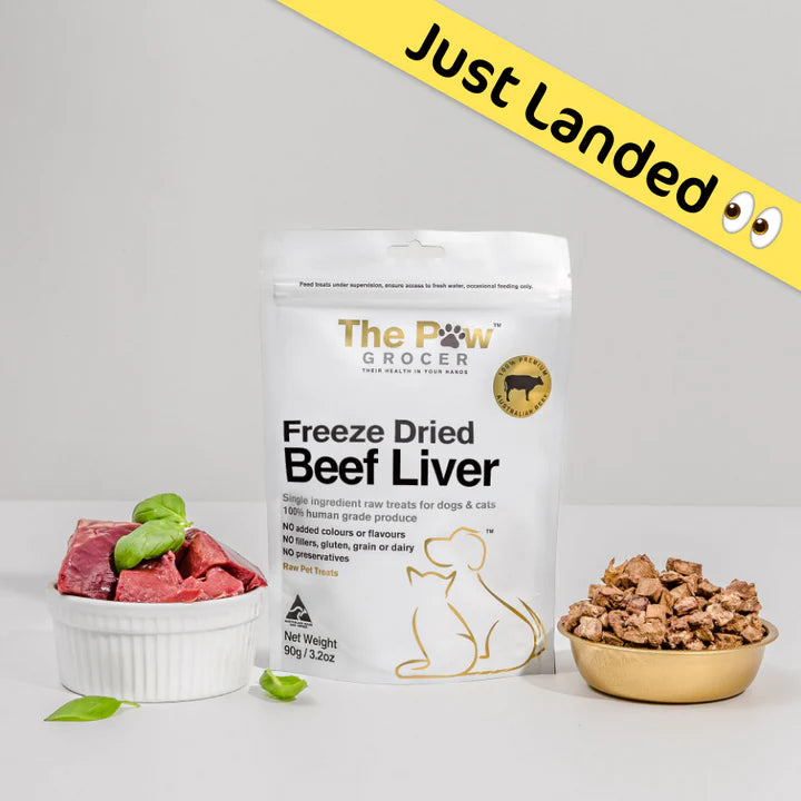 Freeze Dried Beef Liver Dog Treat 90G