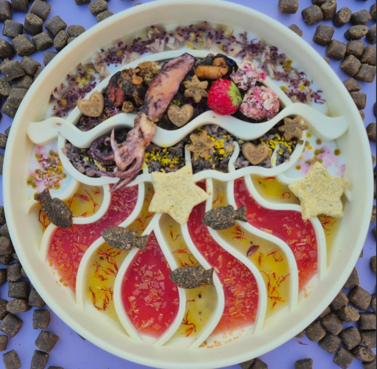 Jellyfish Enrichment Bowl