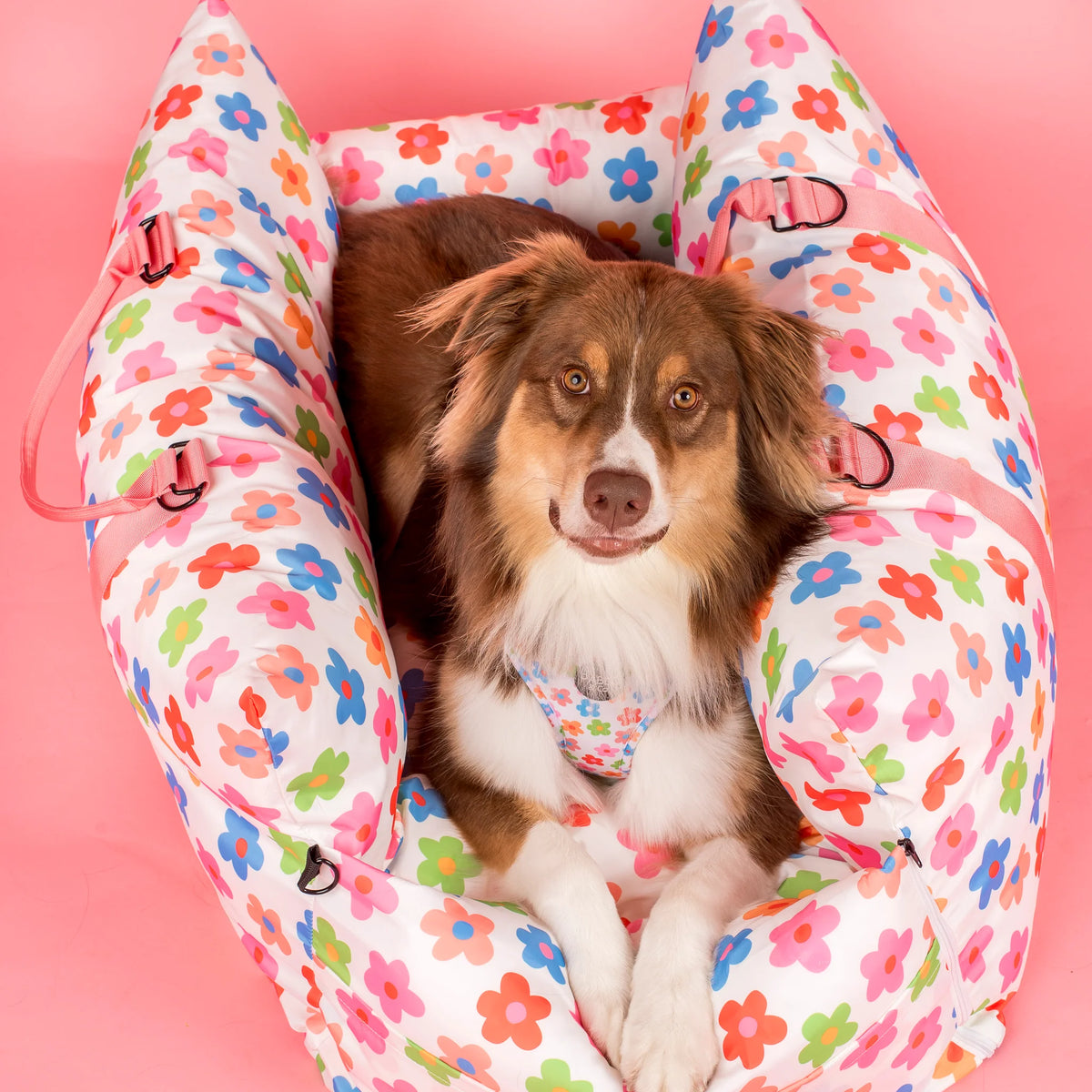 Deluxe Travel Car Bed Posy (Regular/XL)