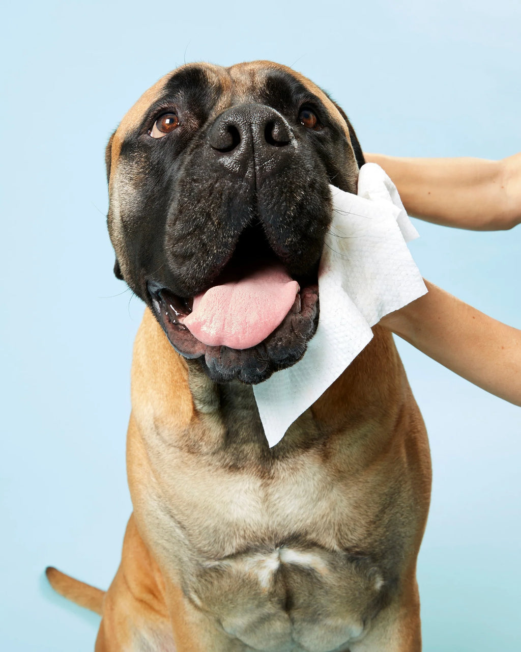 DOG Wipes 80 Wipes