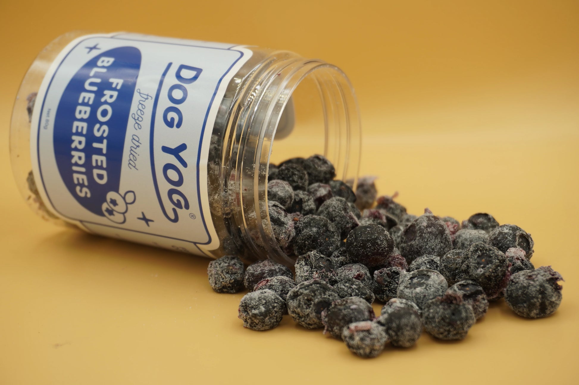 Frosted Blueberries