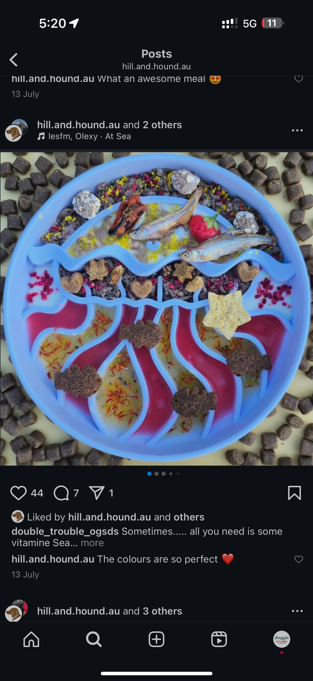 Jellyfish Enrichment Bowl