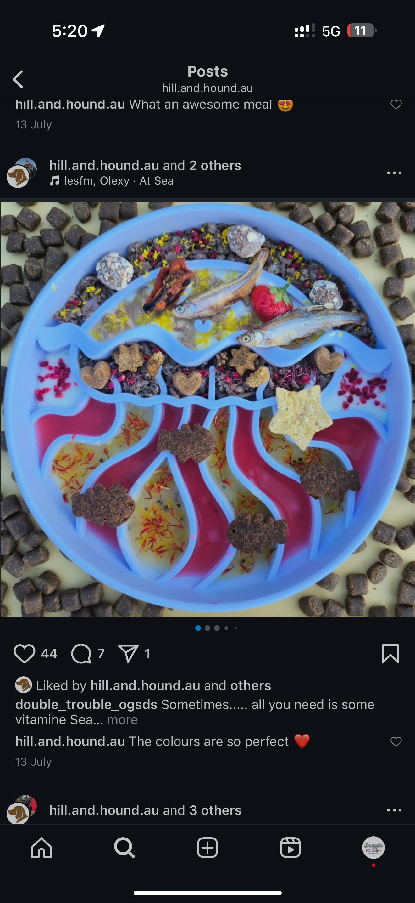 Jellyfish Enrichment Bowl