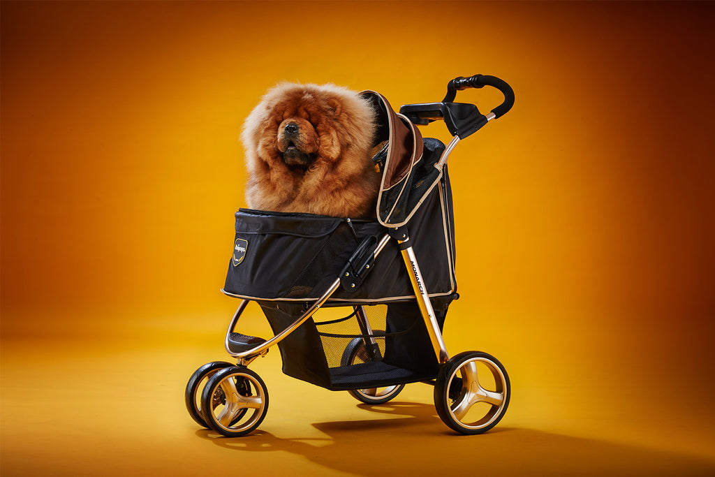 Ibiyaya Monarch Premium Pet Jogger Stroller - Luxury Gold