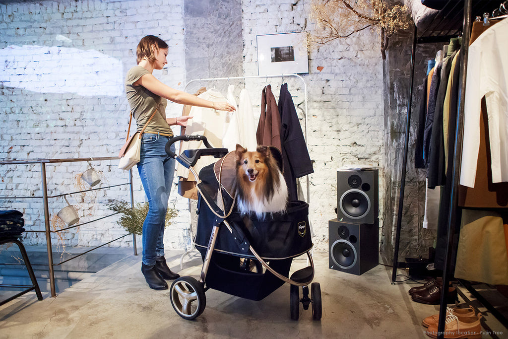 Ibiyaya Monarch Premium Pet Jogger Stroller - Luxury Gold