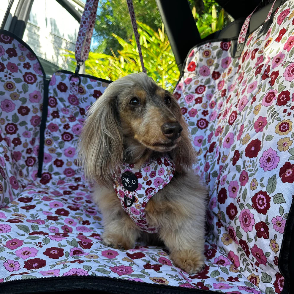 Primrose: Deluxe Hammock Car Seat Cover