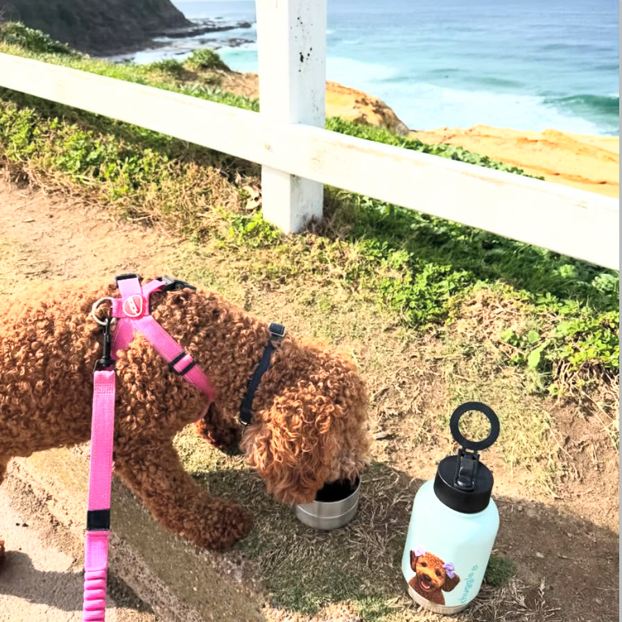 NEW! Chuggle + Magnetic Phone Holder 32oz
