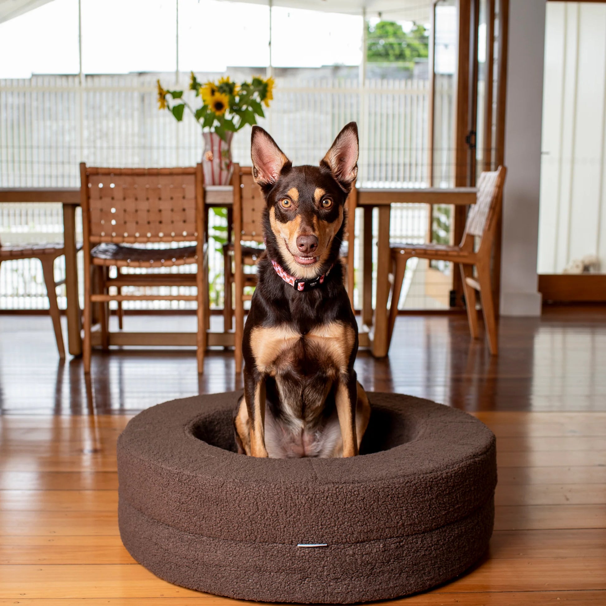 Orthopedic Memory Foam Teddy Donut Dog Bed