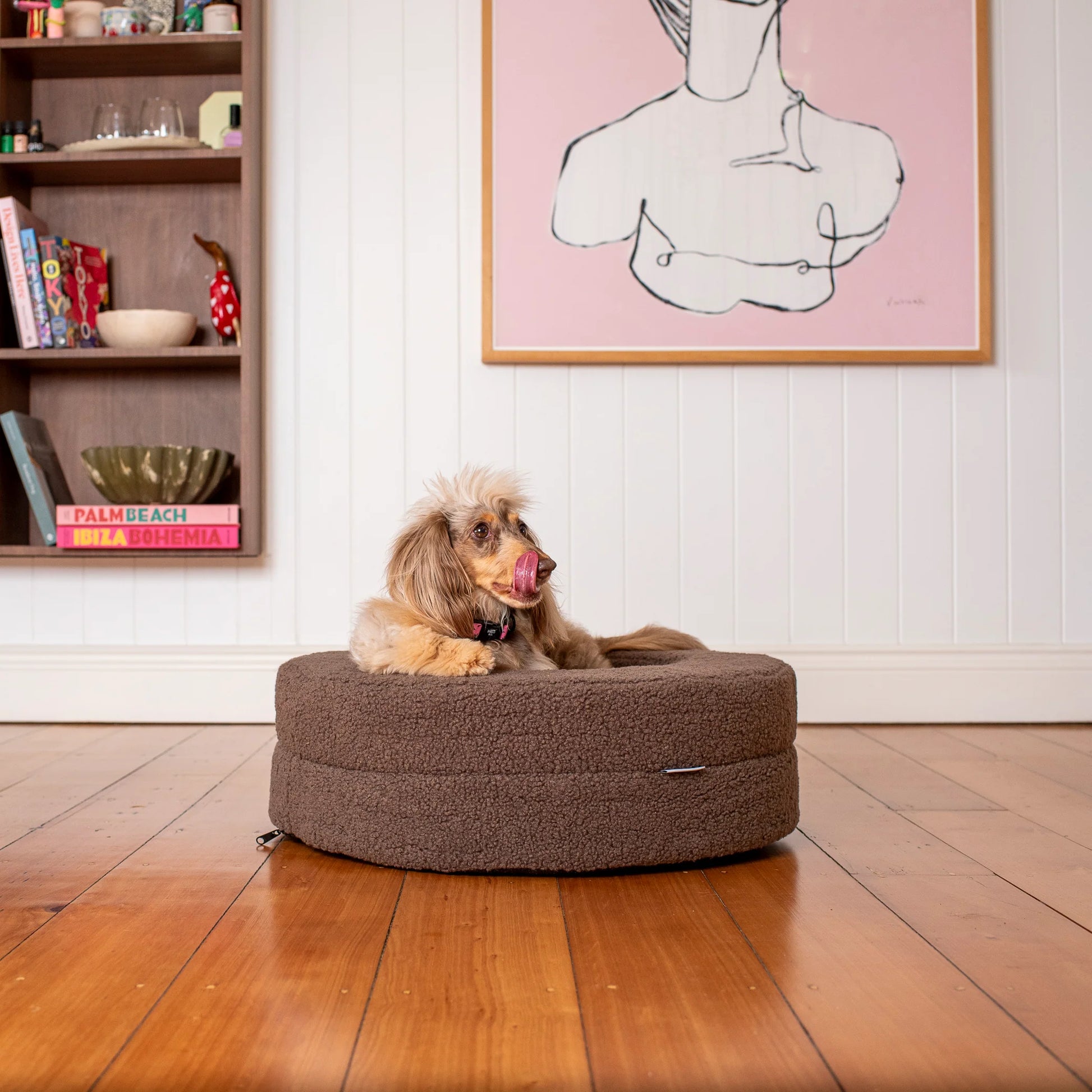 Orthopedic Memory Foam Teddy Donut Dog Bed