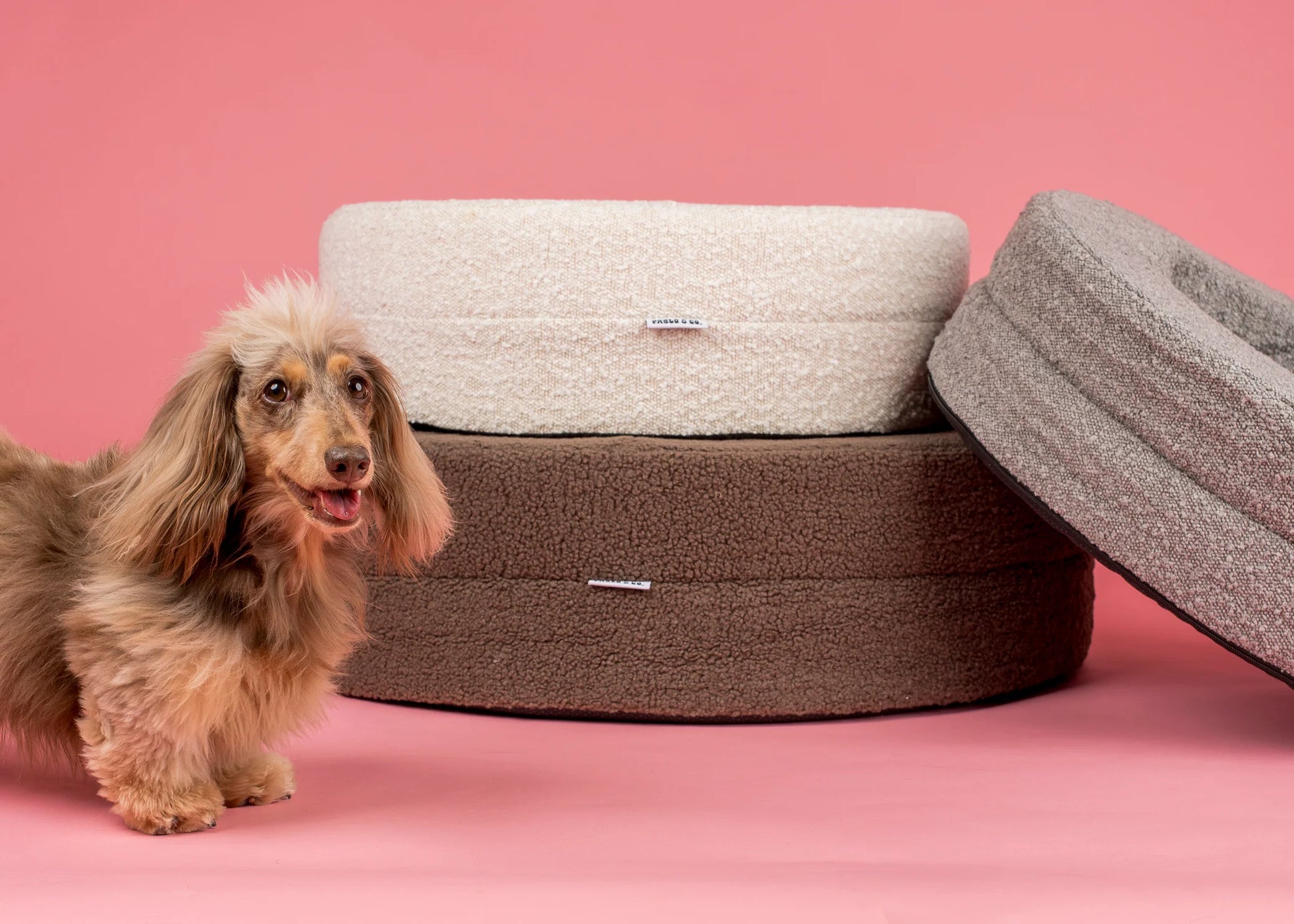 Orthopedic Memory Foam Teddy Donut Dog Bed