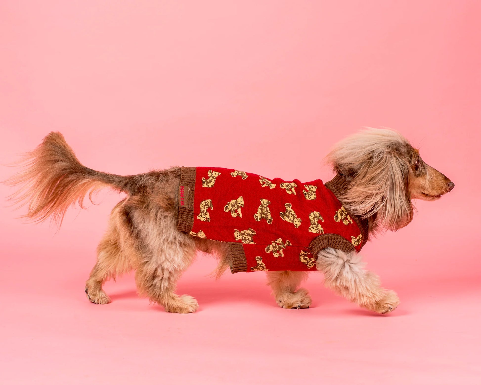 Henry Bear Sweater (XS-XL)