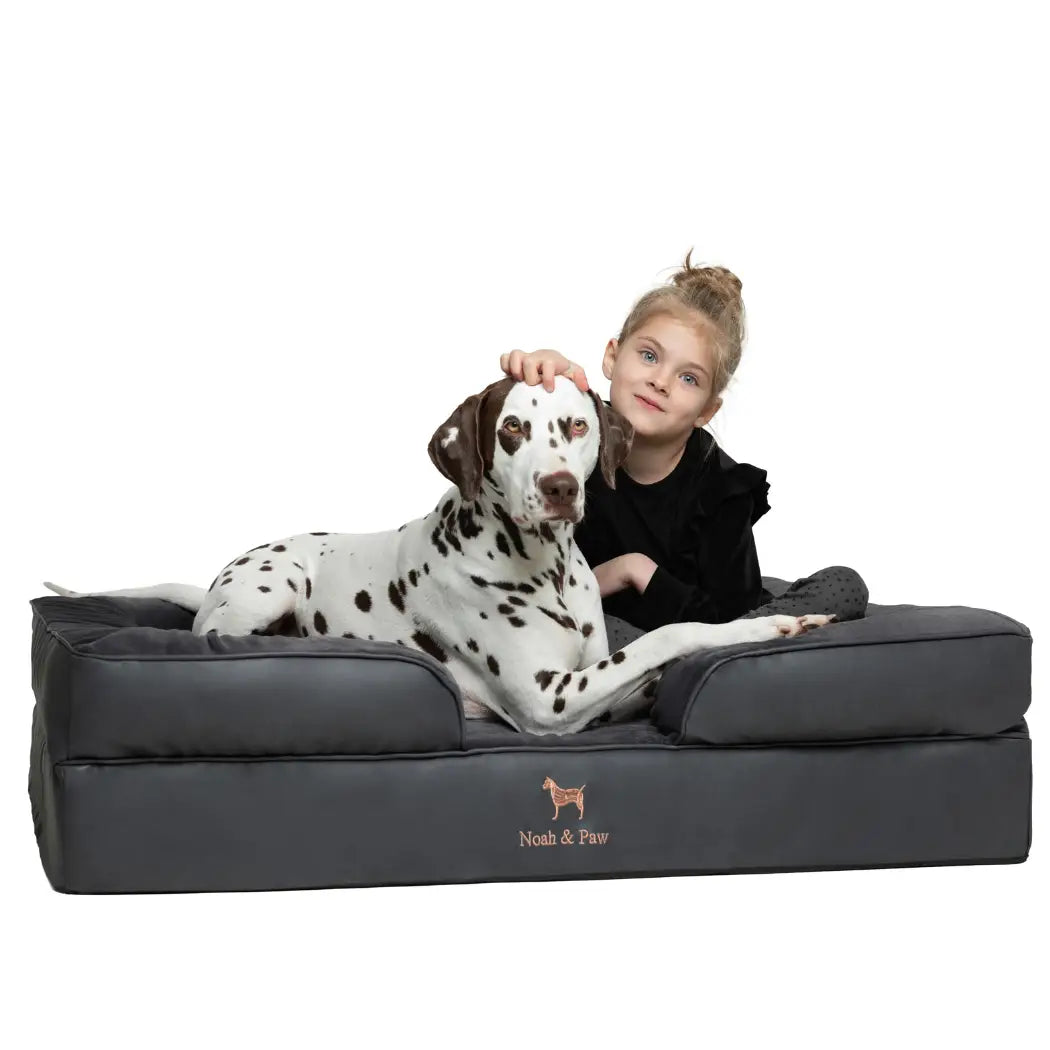 Orthopedic Dog Bed - Sofa Style (S-XXL)