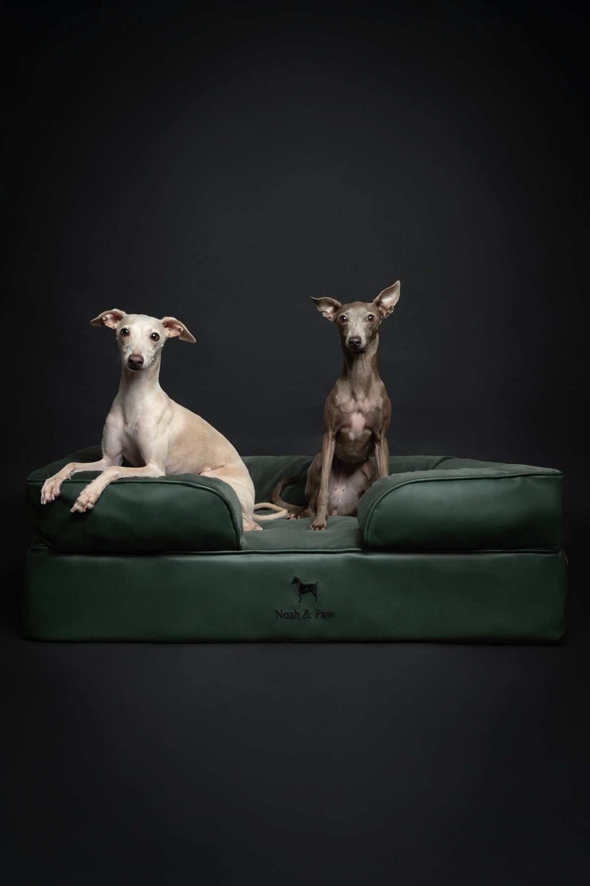 Orthopedic Dog Bed - Sofa Style (S-XXL)