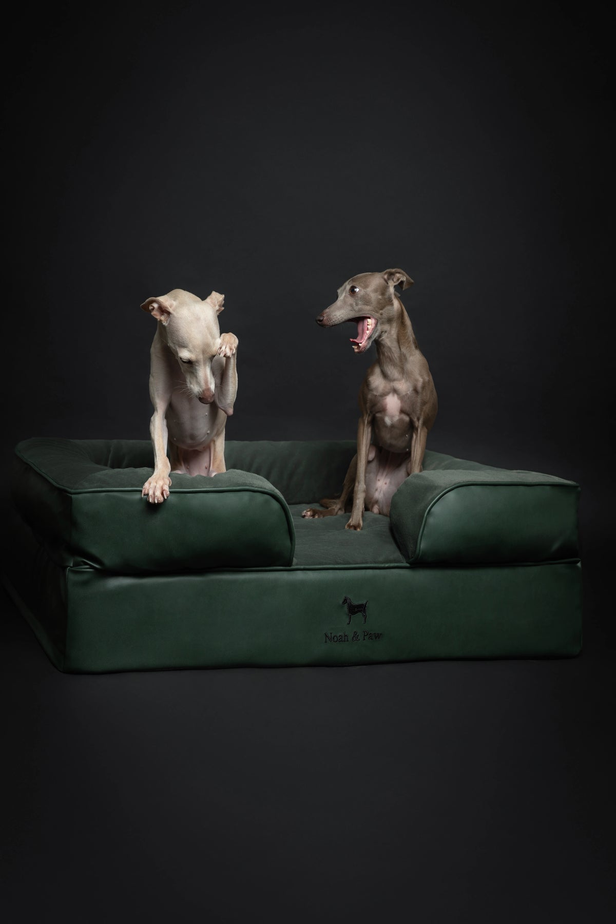 Orthopedic Dog Bed - Sofa Style (S-XXL)