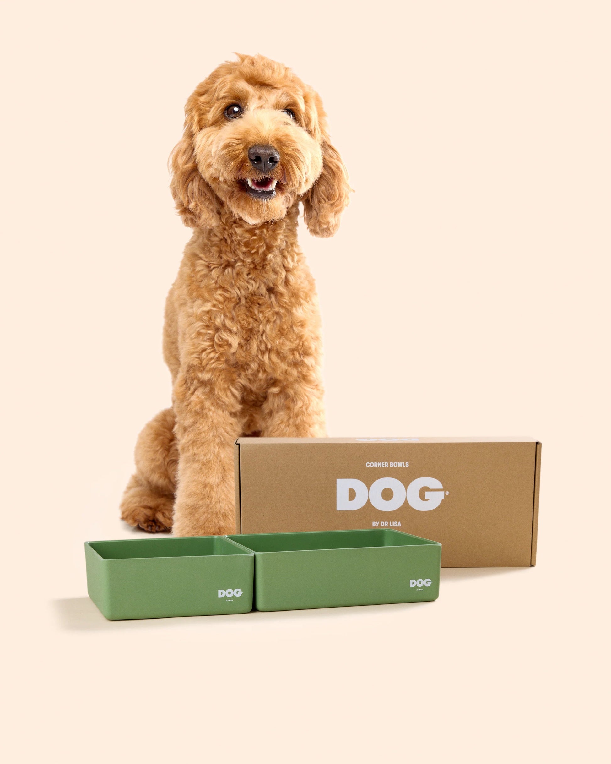 DOG Corner Bowl (Small/Large)