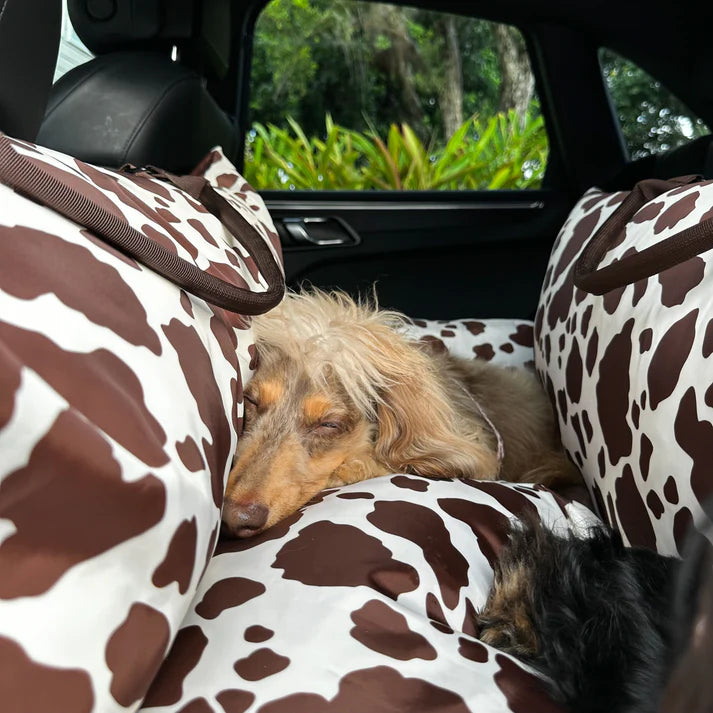 Deluxe Travel Car Bed: Rodeo