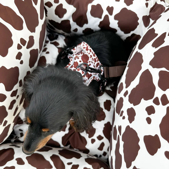 Deluxe Travel Car Bed: Rodeo
