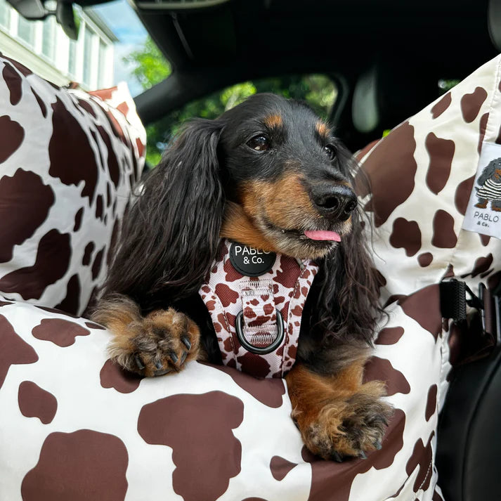 Deluxe Travel Car Bed: Rodeo