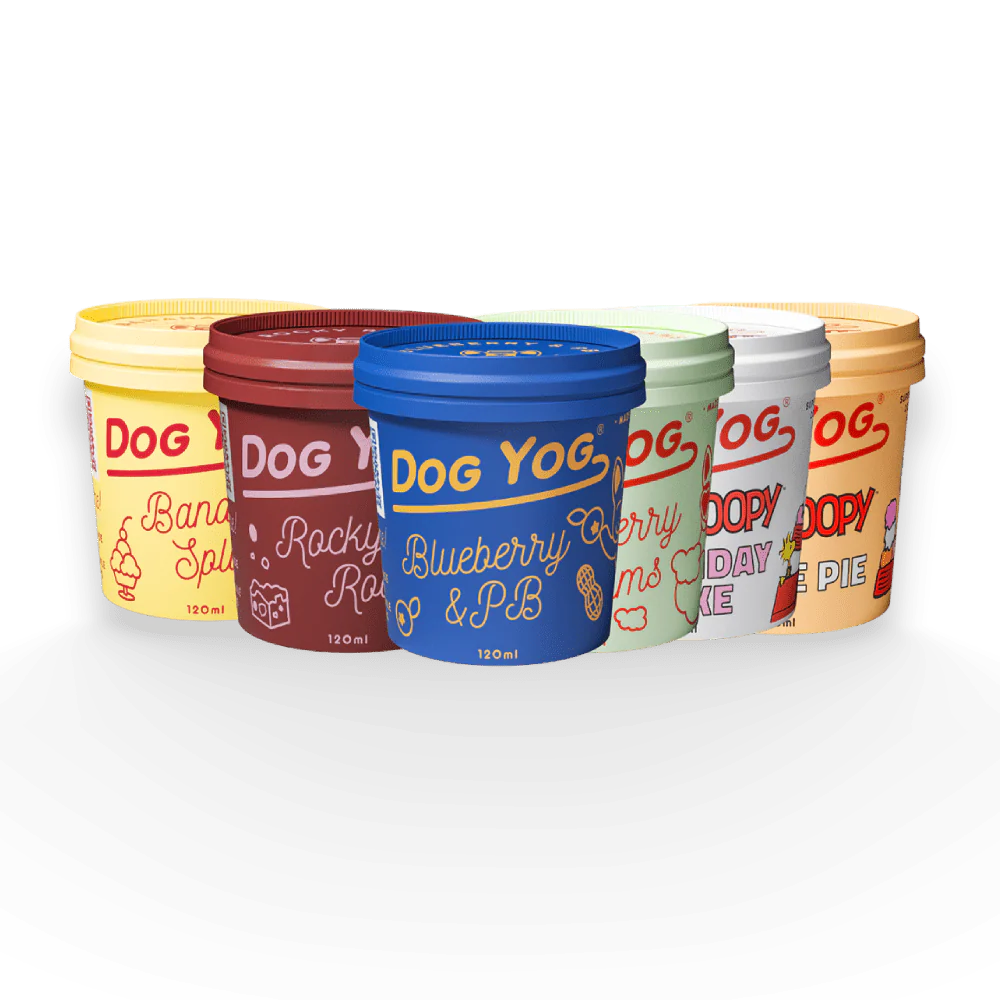 Dog Yog Taster Bundle Dog Icecream 120ml x 6pk/12pk