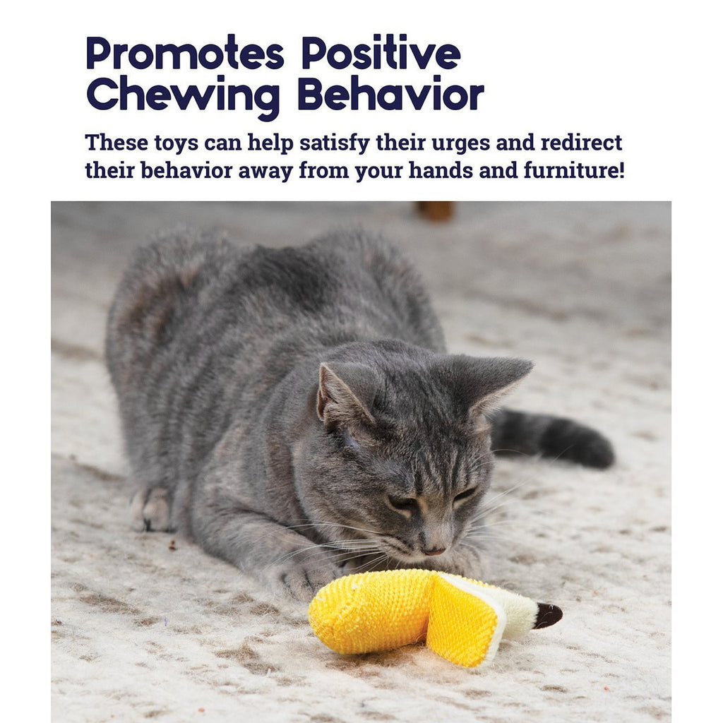 Petstages Dental Banana Catnip Chew Toy for Cats