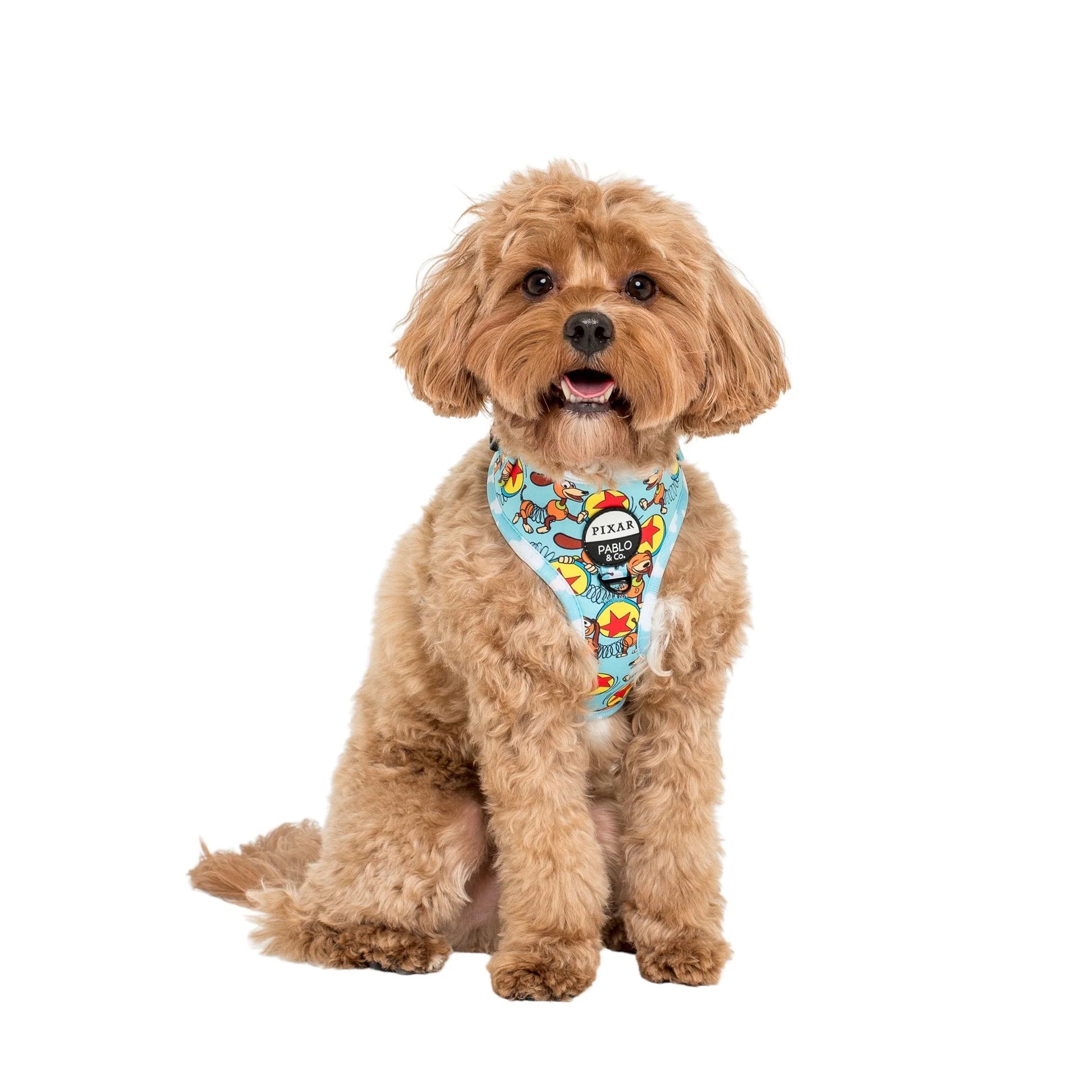 Pablo & Co. Toy Story - Slinky Dog: Adjustable Harness