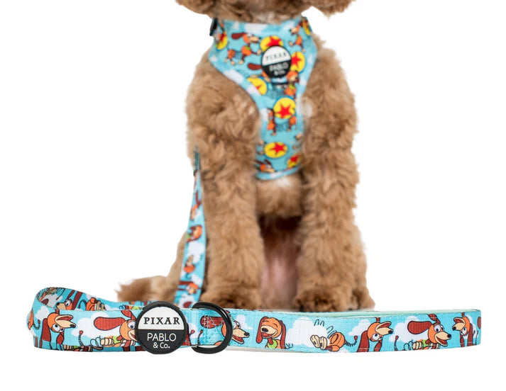 Pablo & Co.Toy Story - Slinky Dog: Dog Leash
