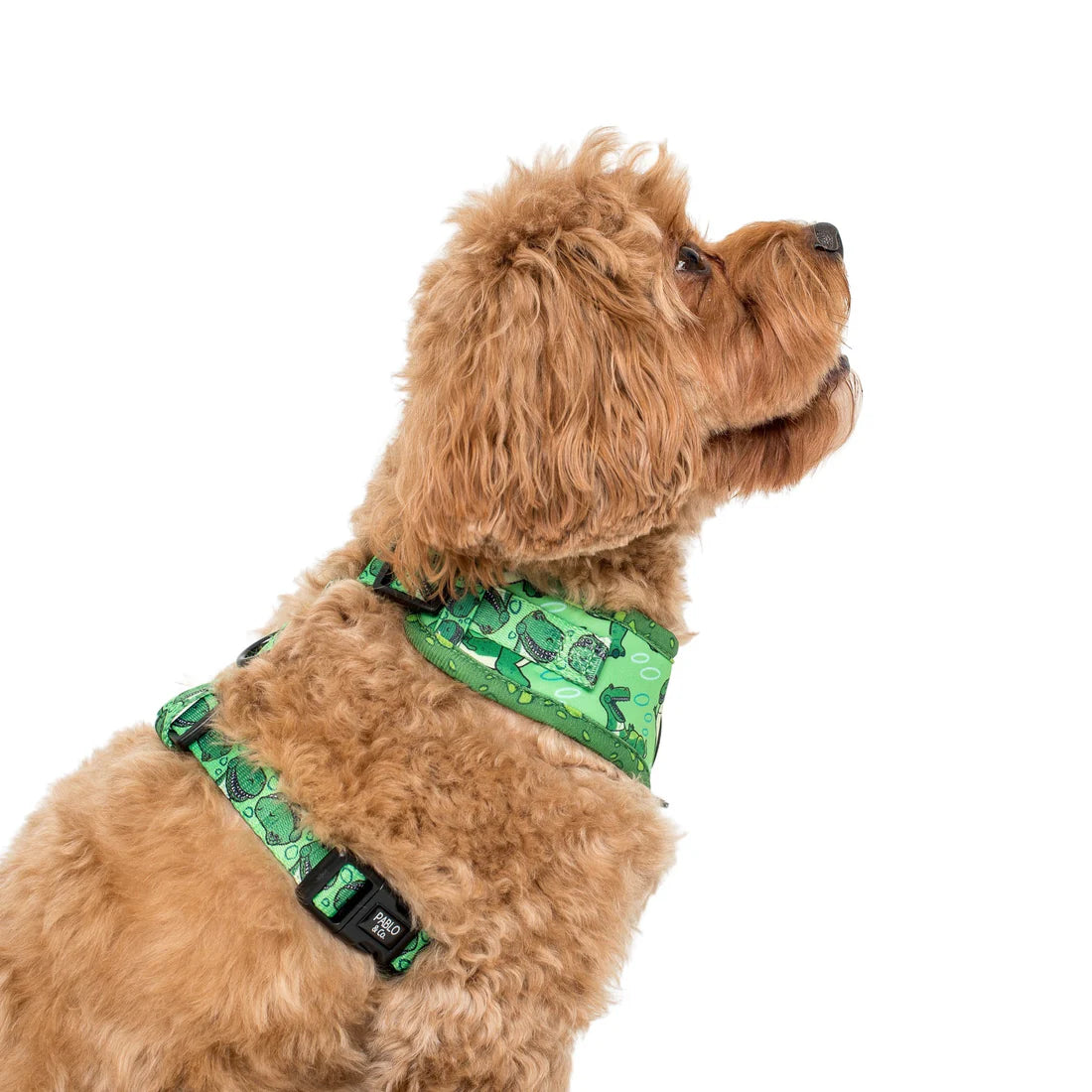 Toy Story - Rex: Adjustable Harness