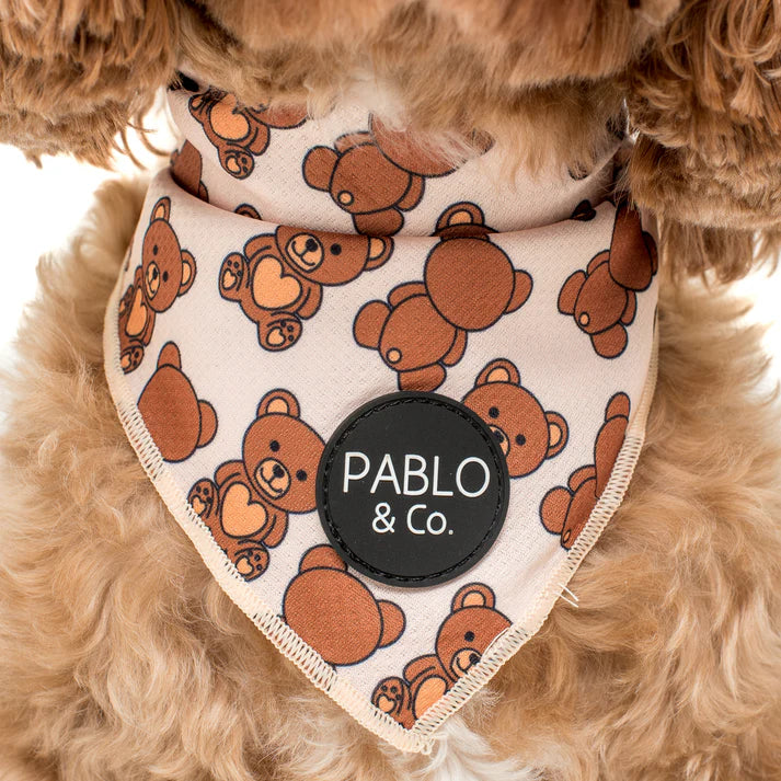 Teddy Bears Picnic - Dog Bandana