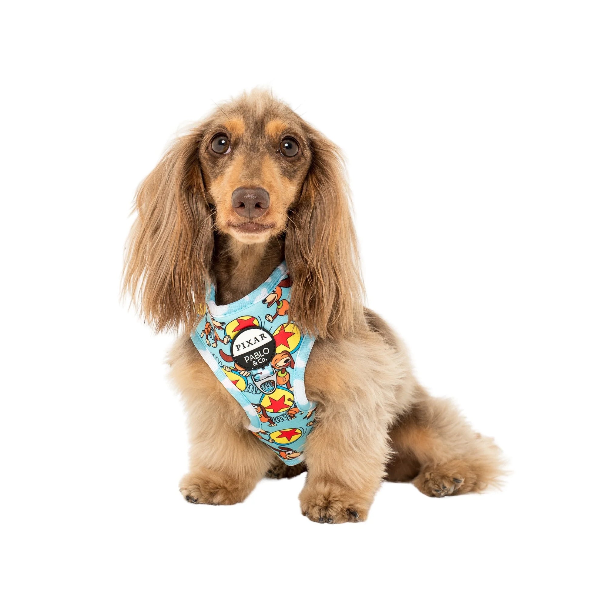 Pablo & Co. Toy Story - Slinky Dog: Adjustable Harness