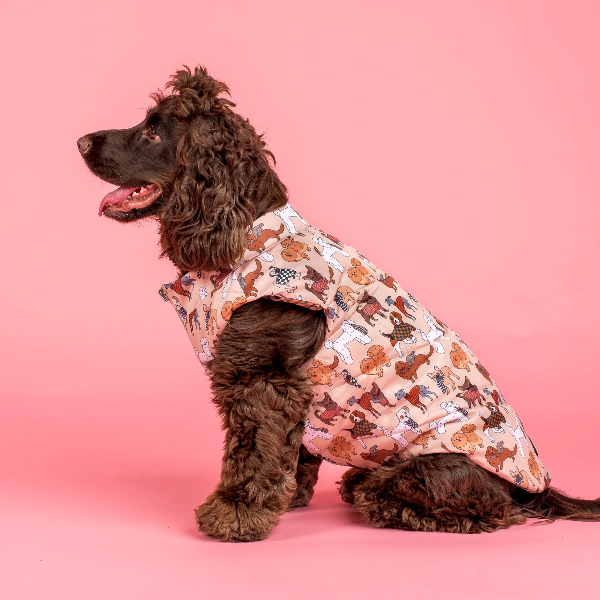 Winter Pooches: Puffer Vest