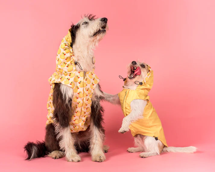 Rubber Ducky Reversible Raincoat