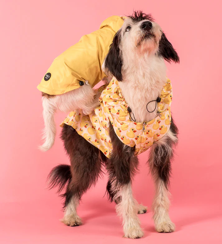 Rubber Ducky Reversible Raincoat