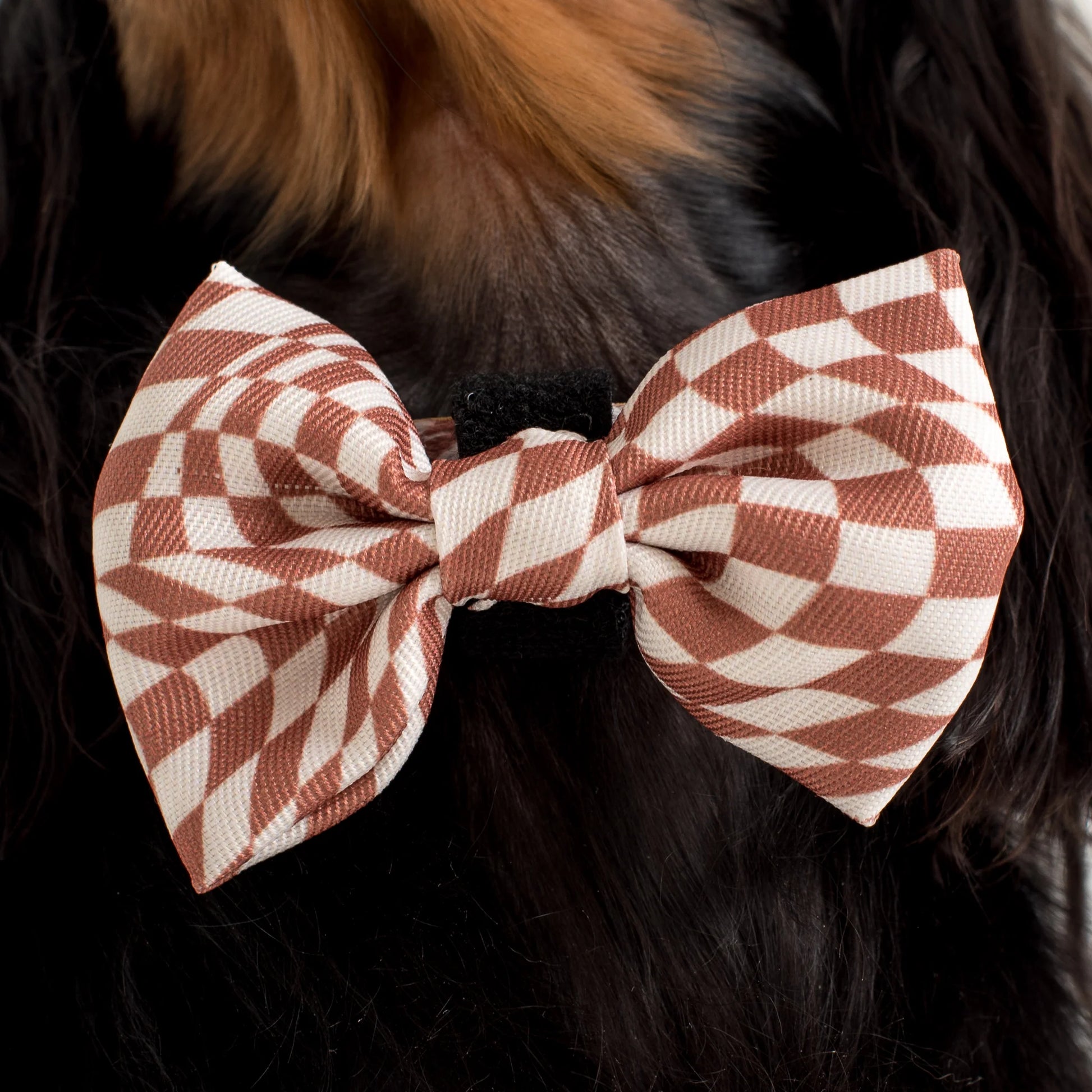 Brown Check Check: BOW TIE