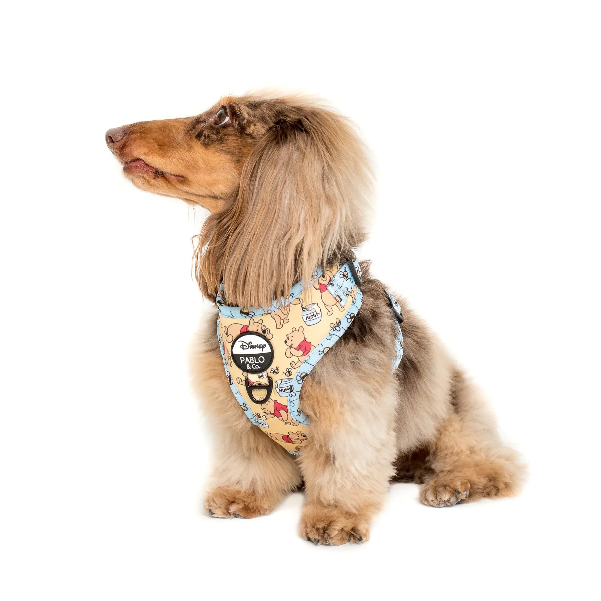 Pablo & Co. Winnie the Pooh & Bee's: Adjustable Harness