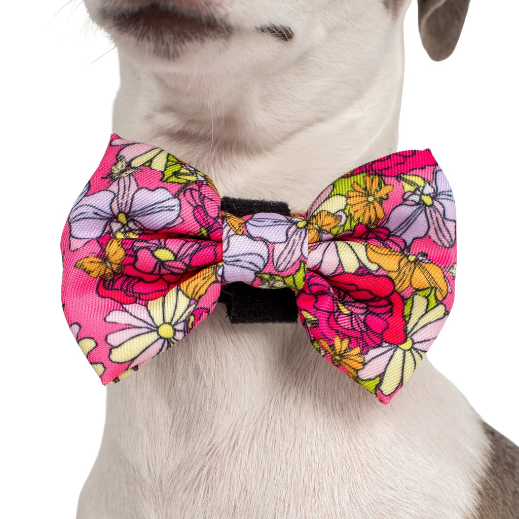 In Bloom: BOW TIE